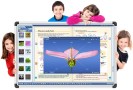 MOZ-TEACHER 1Y ML.jpg
